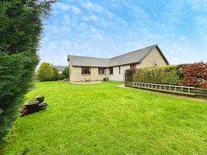 Photo 23- click for photo gallery